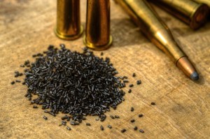 shutterstock_309753647