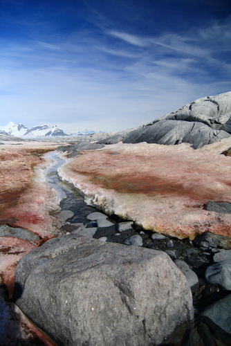 shutterstock_30191596