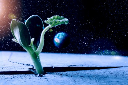 shutterstock_413371993