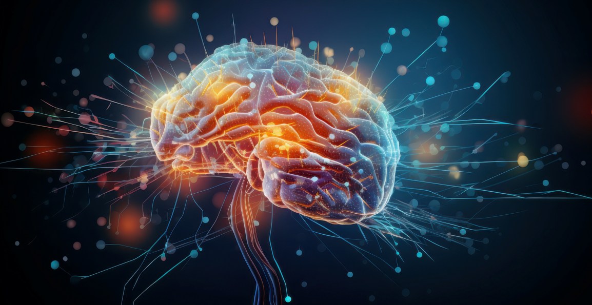 Are Human Brains&nbsp;Growing?