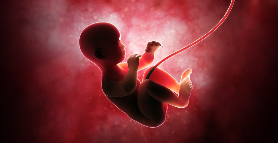 Plastic Chemicals and&nbsp;Babies